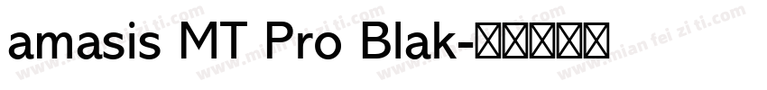 amasis MT Pro Blak字体转换